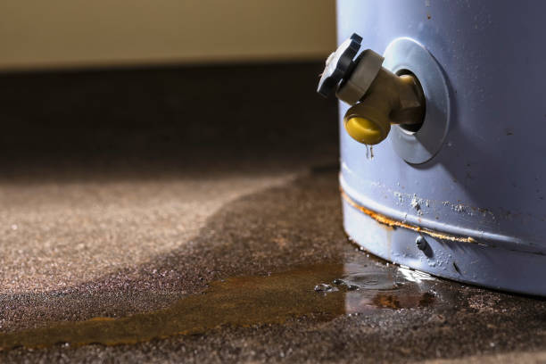Best 24/7 water damage repair  in Mount Carmel, TN