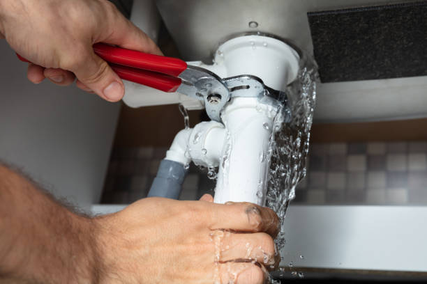 Best Local water damage restoration  in Mount Carmel, TN