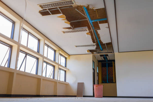 Professional Water damage restoration in Mount Carmel, TN