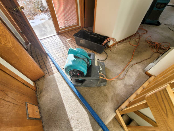 Best Flood damage cleanup  in Mount Carmel, TN