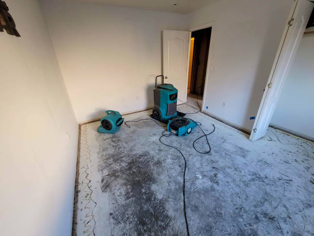  Mount Carmel, TN Water damage restoration Pros
