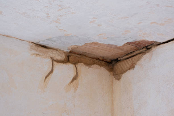 Best Water damage contractors near me  in Mount Carmel, TN