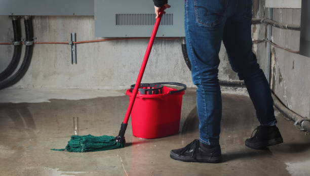 Best Water damage cleanup near me  in Mount Carmel, TN