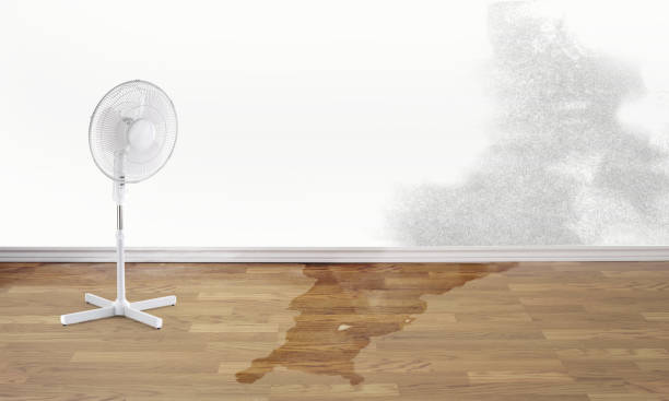 Best Residential water damage restoration  in Mount Carmel, TN