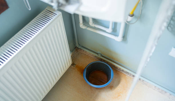 Best Sewage cleanup and water damage restoration  in Mount Carmel, TN