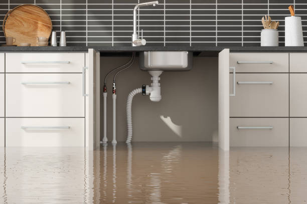Sewage cleanup and water damage restoration in Mount Carmel, TN