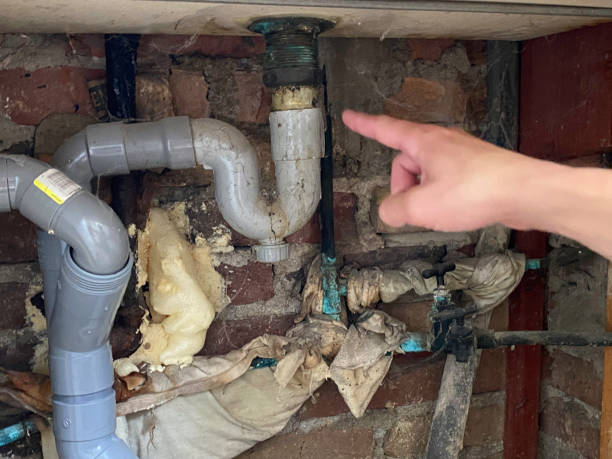 Best Ceiling water damage repair  in Mount Carmel, TN