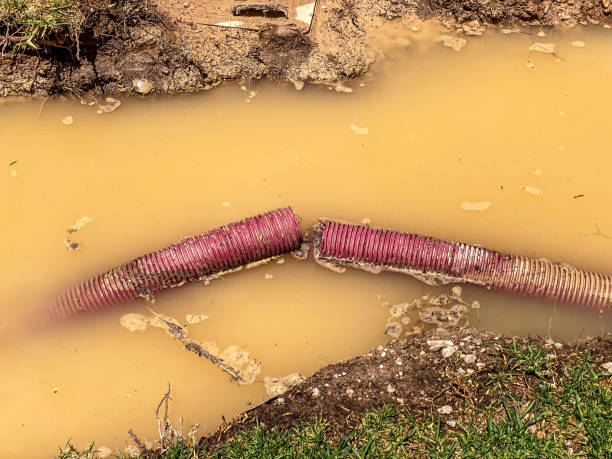 Best Water damage restoration near me  in Mount Carmel, TN